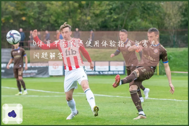 b体育平台首页使用体验指南与常见问题解答