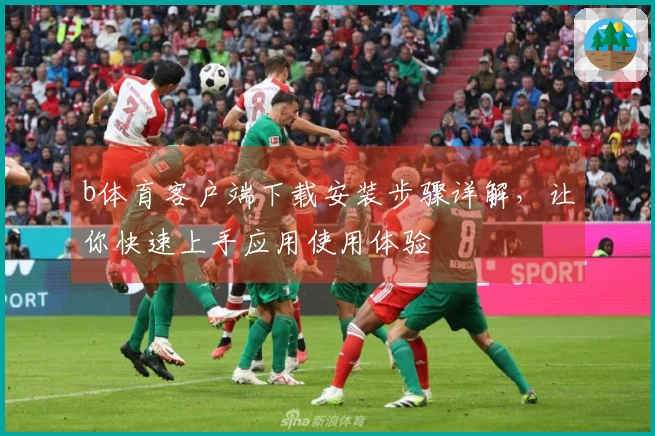 b体育客户端下载安装步骤详解，让你快速上手应用使用体验
