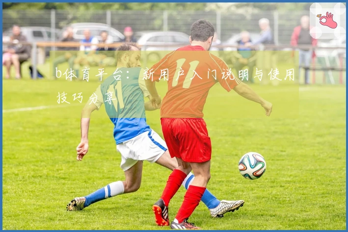 b体育平台：新用户入门说明与使用技巧分享