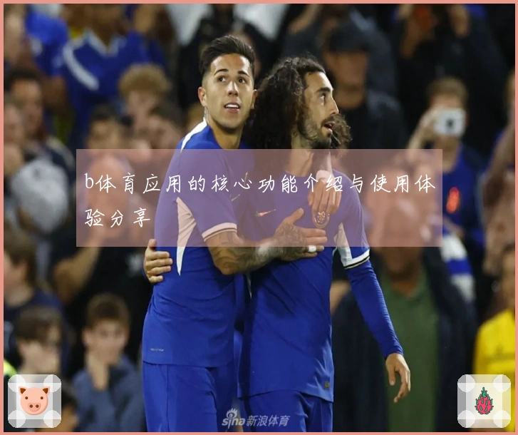 b体育应用的核心功能介绍与使用体验分享